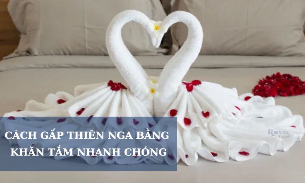Cách gấp thiên nga bằng khăn tắm đơn giản, đẹp