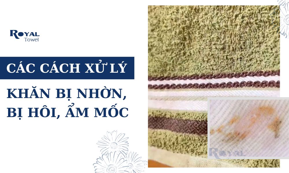 Cách Xử Lý Nhanh Khăn Mặt Bị Nhờn, Bị Hôi Ẩm Mốc
